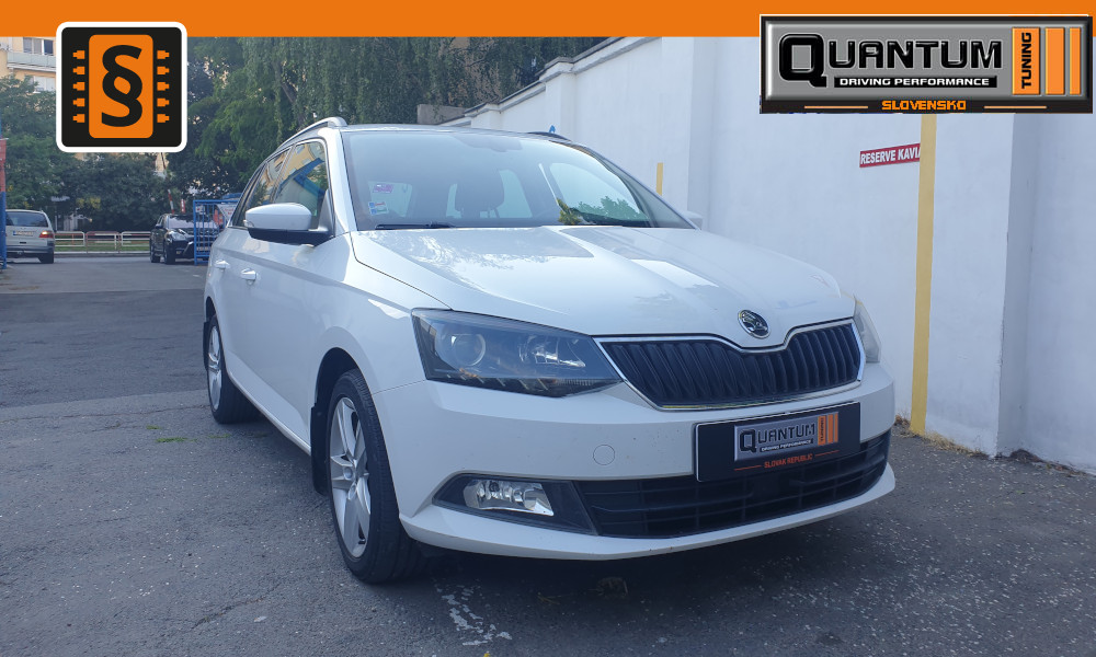 Referencie-228-chiptuning-bratislava-skoda-fabia-1.2.TSi